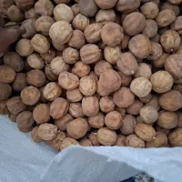 لیمو خشک