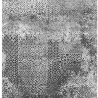 فرش ساحل،تعویض فرش|فرش|بندرعباس, |دیوار