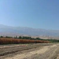 جارو کشاورزی عمده|عمده‌فروشی|نهاوند, |دیوار