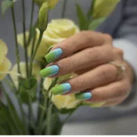 خدمات تضمینی کاشت ناخن ترمیم لمینت آموزش (ادبیات)