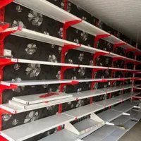 قفسه پآیه 1 متری