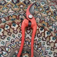 پیک نیک|اجاق گاز و لوازم برقی پخت‌وپز|شیروان (خراسان), |دیوار