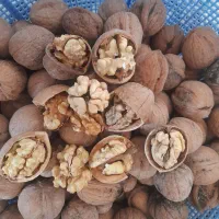 گردو|خوردنی و آشامیدنی|ساوه, |دیوار