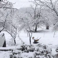 ی قواره باغ با ۵۲ متر بهر از جاده اصلی ملحمدره