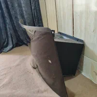 هود|هود|زابل, |دیوار