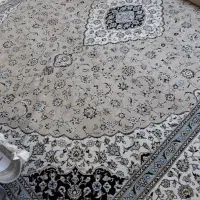 فرش ۱۲متری کرم|فرش|شیروان (خراسان), |دیوار