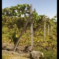 ویلاباغ گاز برق|فروش خانه و ویلا|ارومیه, |دیوار