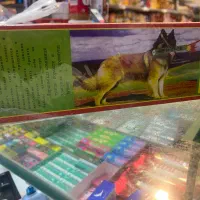 کبریت خارجی