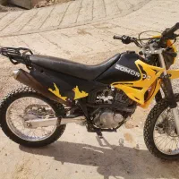 تریل زمرد کویر. در حد خشک