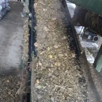 ذرت سیلاژ پر دان|عمده‌فروشی|بشاریات, |دیوار