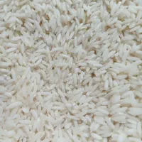 فروش برنج اعلاء دورود
