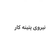 نیروی پتینه کار