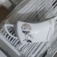 چینی 18 نفره تقدیس|ظروف سرو و پذیرایی|پاکدشت, پاکدشت (مامازند)|دیوار