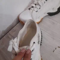 کفش ولباس مجلسی|لباس|رباط‌کریم, شترخوار|دیوار