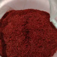 زعفران کوهی با اب چشمه