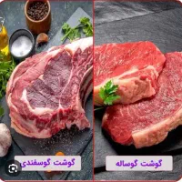 پخش عمده گوشت گوساله و گوشت گوسفندی
