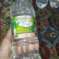 عرق نعنا
