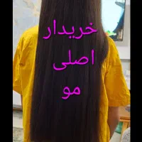 صادر کننده