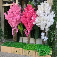 شکوفه،آکاردئونی برگ،درختچه ،ریسه،گرین وال