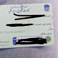 کارت گم شده