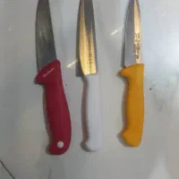 پیمانکار اسکلت مرغ