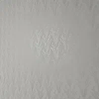 نقاشی ساختمان طرح کاغذ دیواری|خدمات پیشه و مهارت|ماهدشت, |دیوار