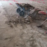 فروش کود حیوانی و مرغ گوشتی.|خدمات باغبانی و درختکاری|نیریز, |دیوار