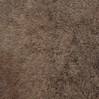 فرش هندی پرز بلند کاملن نو|فرش|ماهدشت, |دیوار