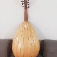 عود امارات
