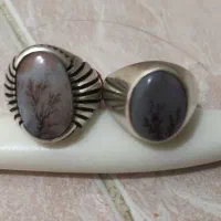 انگشتر شجر تک درخت|جواهرات|همدان, |دیوار