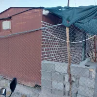 کانکس باغی|مصالح و تجهیزات ساختمان|سامان, |دیوار