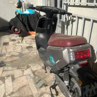 موتور کویر برقی|موتورسیکلت|گنبد کاووس, |دیوار