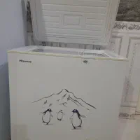 فریزر صندوقی هایسنس خونگی