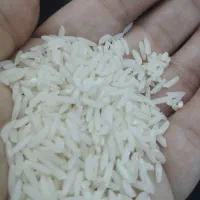 برنج طارم درجه یک