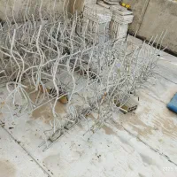 محافظ شاخ گوزنی