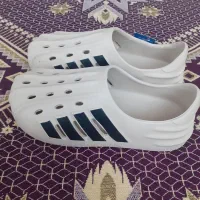 کفش پلاستیکی مردانه سایز ۴۲ نونو|کیف، کفش، کمربند|مشهد, توس (بلوار توس)|دیوار