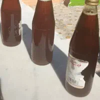 عسل طبیعی(کوه)