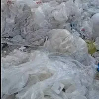 خریدار مشبا