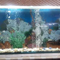 فروش آکواریم با کلیه وسایل