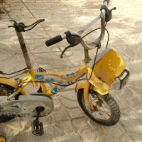 دوعدوچرخه