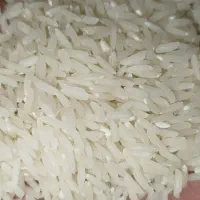 برنج درجه یک هاشمی ایرانی|خوردنی و آشامیدنی|تبریز, |دیوار