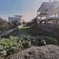 زمین-300م-بافت-مسکونی-مدارک-کامل-ولی-آباد