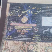 فرش ۱۲متری ۱۰۰۰شانه|فرش|اهواز, کیانشهر|دیوار