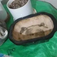 باکس و سبد گل و تعدادی گلدان برای کاشتن گل|صنایع دستی و سایر لوازم تزئینی|تهران, تهرانپارس غربی|دیوار