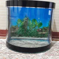 آکواریوم شیشه خم در حد نو