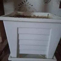 گلدان|گل و گیاه طبیعی|آذرشهر, |دیوار