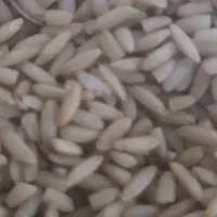 برنج عنبر بو قهوه ای ( سبوس دار )|خوردنی و آشامیدنی|بندر ماهشهر, |دیوار