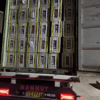 مرکز پخش کارتن موز ترکیان|عمدهفروشی|همدان, |دیوار