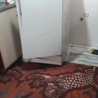 فرش ۱۲متری ویخچال|فرش|سهند, |دیوار