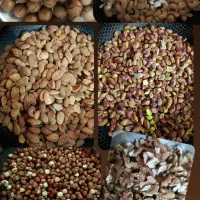 قوتو اصل کرمان|خوردنی و آشامیدنی|مشهد, کوی المهدی|دیوار